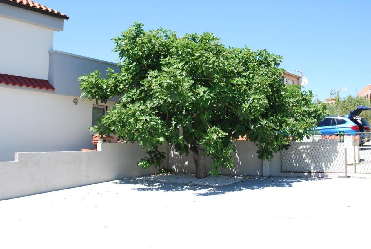 Villa Sabina - Apartments Kroatien Ražanac Dış mekan fotoğraf