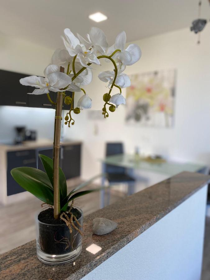 Villa Sabina - Apartments Kroatien Ražanac Dış mekan fotoğraf