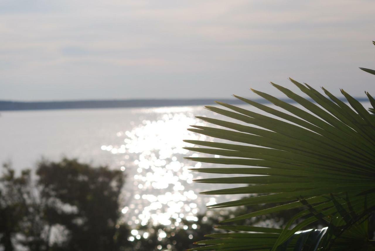 Villa Sabina - Apartments Kroatien Ražanac Dış mekan fotoğraf